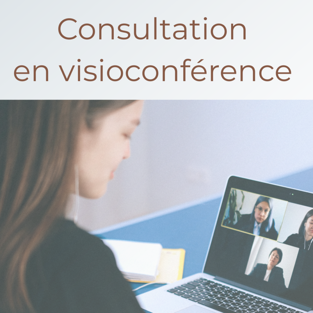 Consultation en visioconférence : image à sélectionner pour accéder au calendrier du cabinet de Maître Emmanuelle Delaunay pour prendre un rendez-vous en visioconférence