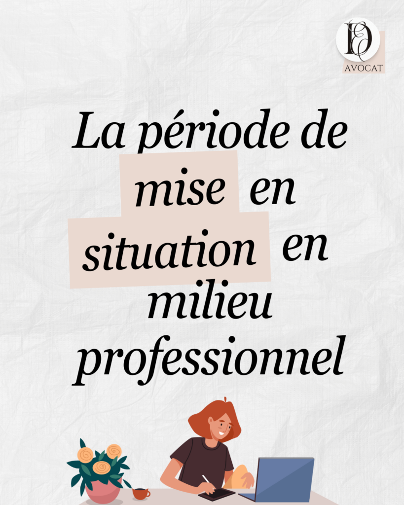 La période de mise en situation en milieu professionnel